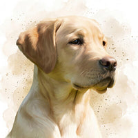 Pet Watercolour