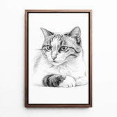 katzenportrait-leinwand-rahmen-walnuss